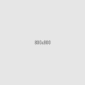 typesetting animal - Image 5