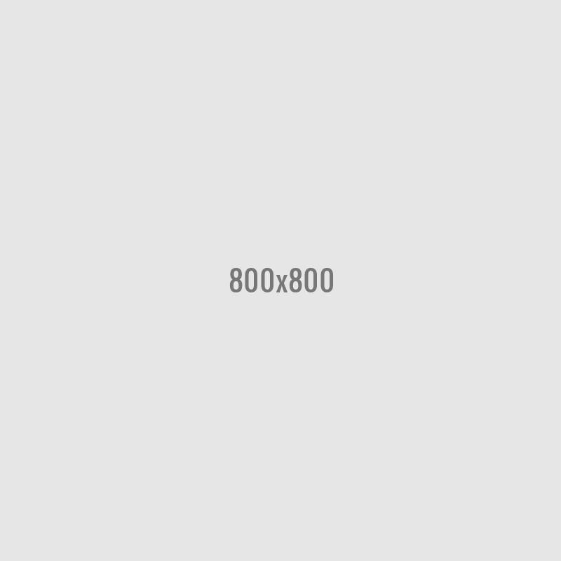 typesetting animal
