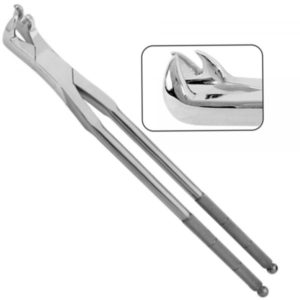 Lower Right Three Prong Root Molar Equine Dental Extraction Forceps 12″