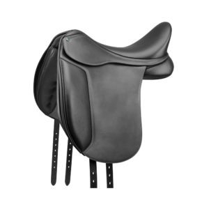 SADDLES