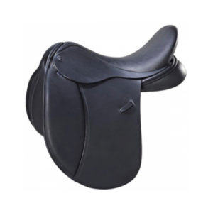SADDLES