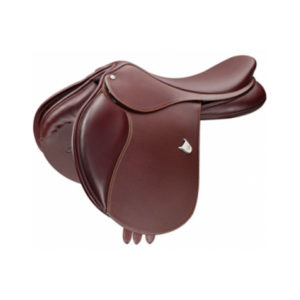 SADDLES